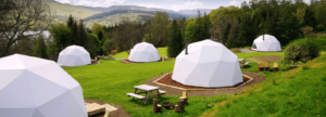 Purchase dome tent